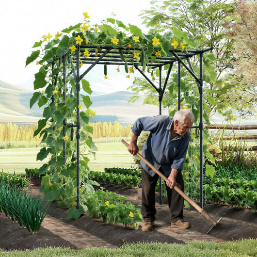 Large Garden Arch Trellis for Climbing Plants Outdoor Grape Vine Support-Black - Image 2