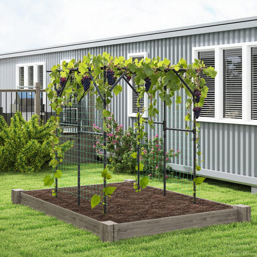 Large Garden Arch Trellis for Climbing Plants Outdoor Grape Vine Support-Black - Image 3