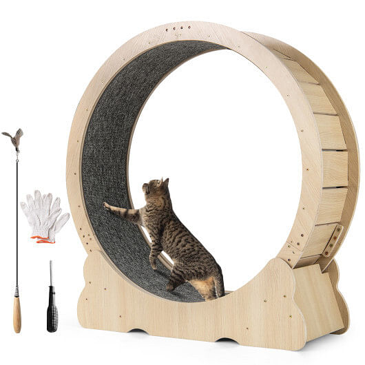 40 Inch Large Cat Exercise Wheel with Lockable Mechanism and Carpeted Runaway for Indoor Cats-Natural