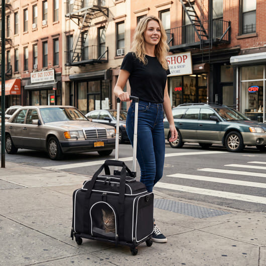 Foldable Pet Carrier with Wheels Airline Approved Rolling Cat and Dog Carrier-Black - Image 2