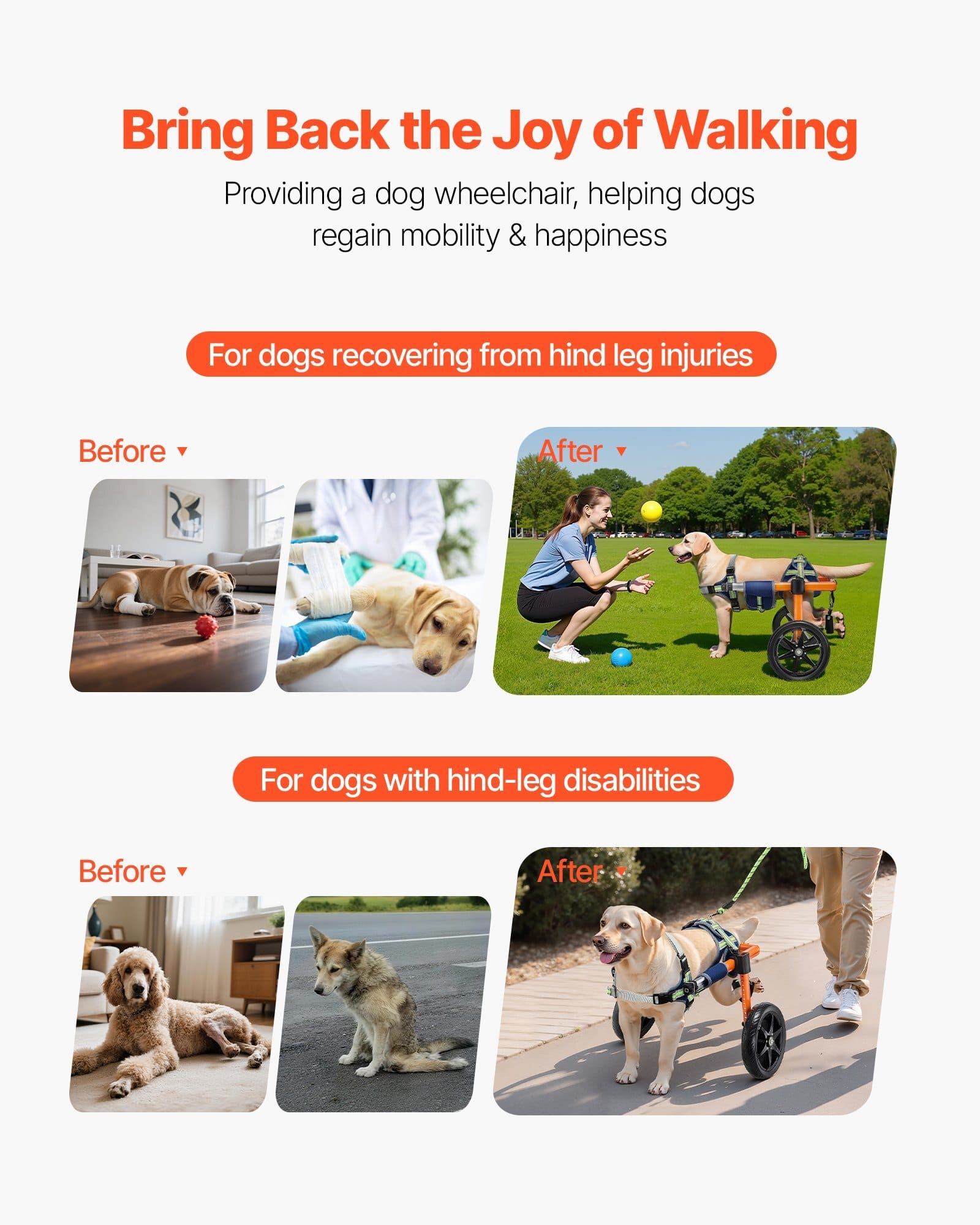 Dog Wheelchair for Back Legs, Lightweight 2 Wheels Pet Wheelchair, Height, Width & Length Adjustable, Dog Cart with Shock-Absorbing Wheels, for Injured, Disabled Dogs 35-48 lbs, Medium