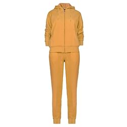 Category: Dropship Apparel & Clothing, SKU #2366366, Title: . Case of [12] Women's Plus Size Sweat Suits - 1X-3X, Mustard Yellow .
