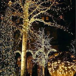 Category: Dropship Led Lights, SKU #1220395524, Title: Firefly Solar mini LED Christmas lights on String