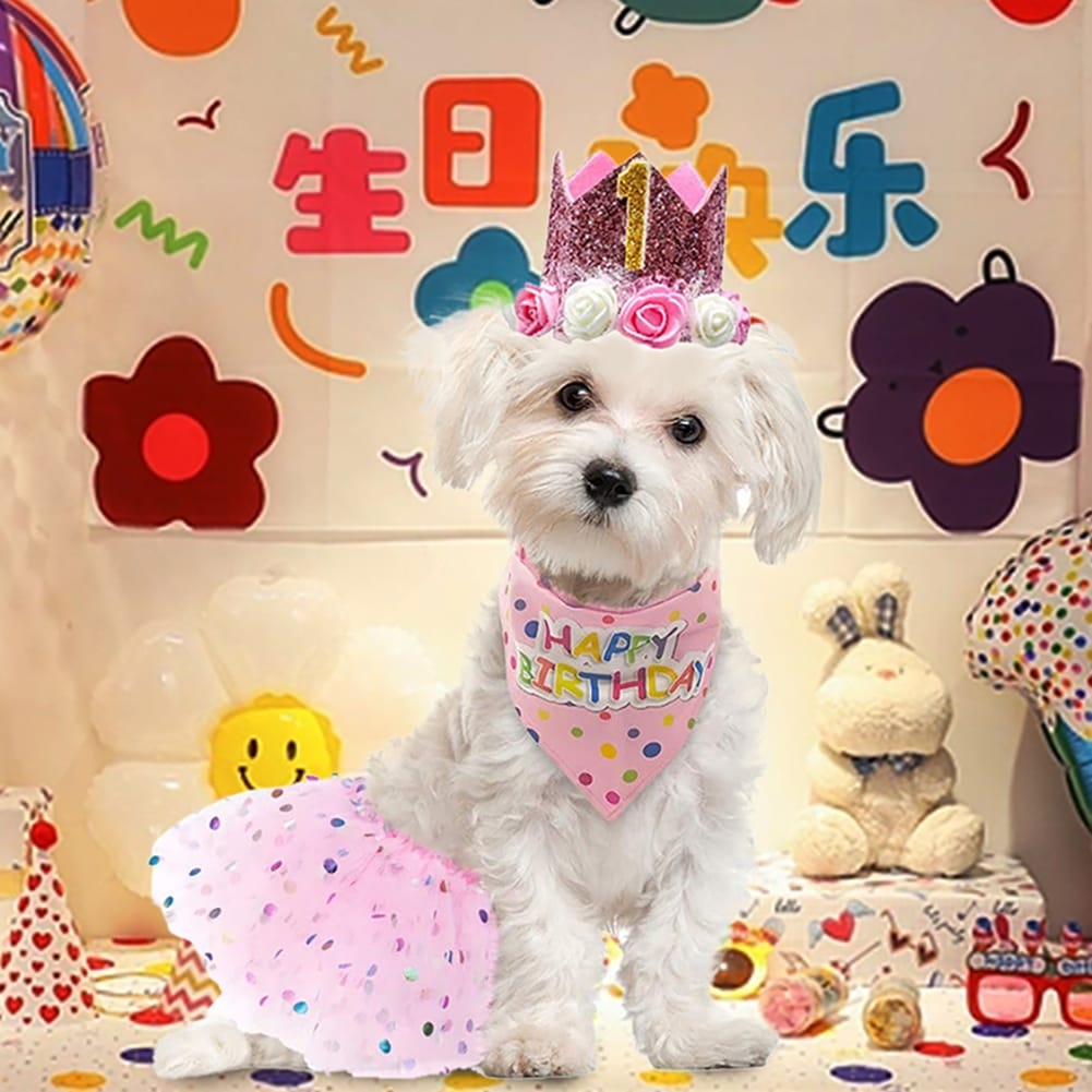 Dog Birthday 1st Party Supplies Scarf Tutu Skirt Crown Hat With 0-8 Numbers Pet Supplies For Puppy Birthday Outfit as shown - Image 4