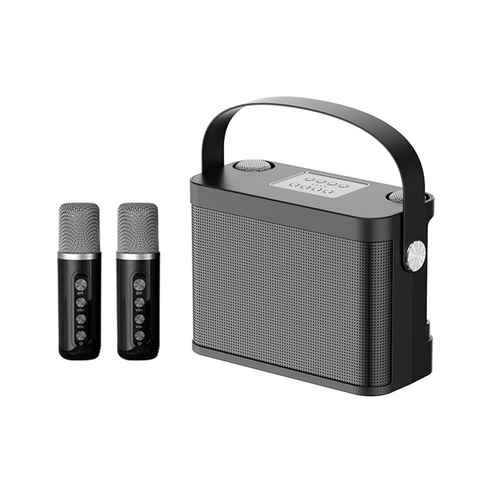 Ys-219 Karaoke Machine With Dual Microphones Change Voice Functions Portable Speaker Studio Subwoofer AUX TF Card U Disk Player For Party Meeting black