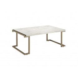 Category: Dropship Home Decor, SKU #286329, Title: Rectangular Marble Top with Champagne Metal Base Cofee Table