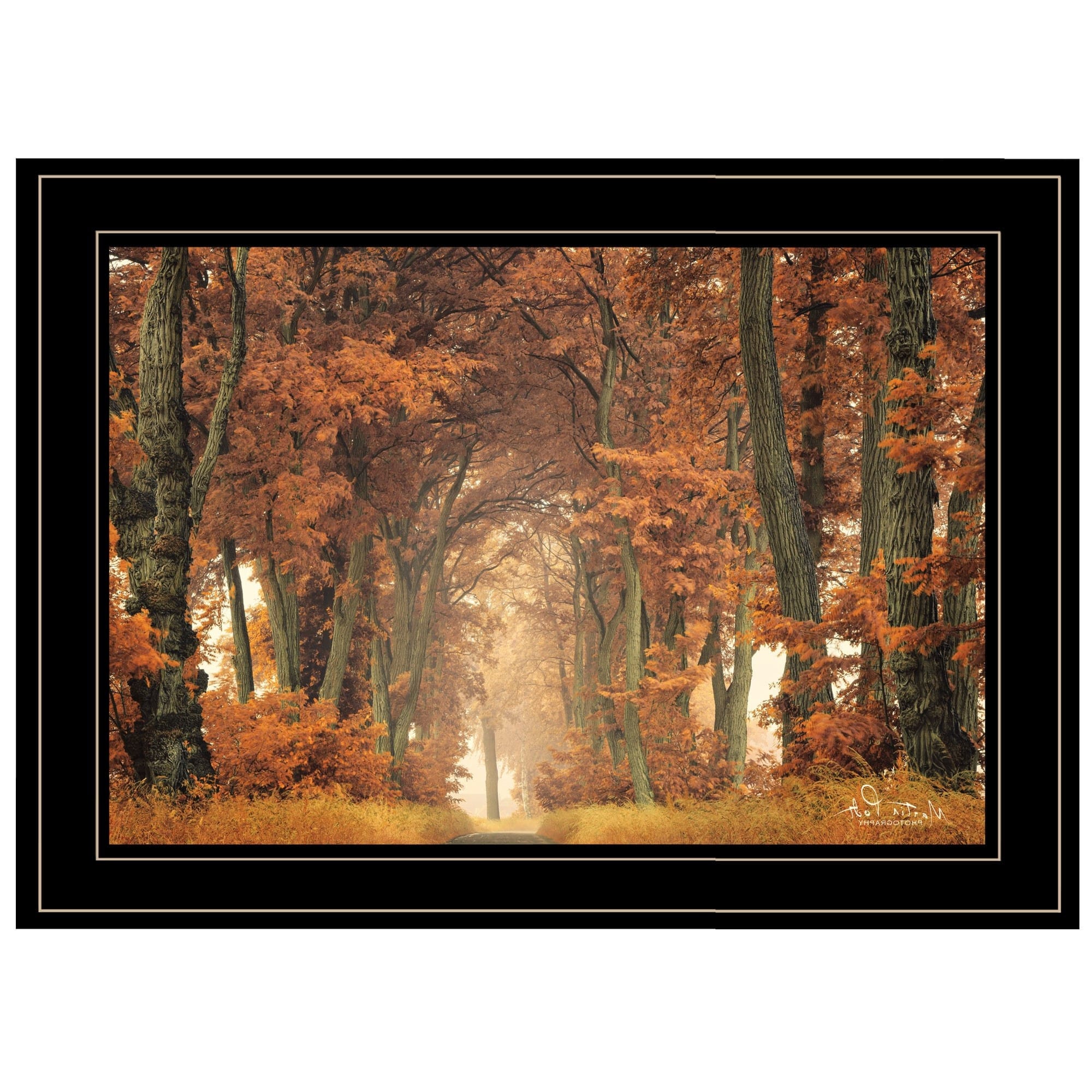 Follow Your Own Way 2 Black Framed Print Wall Art - Image 5