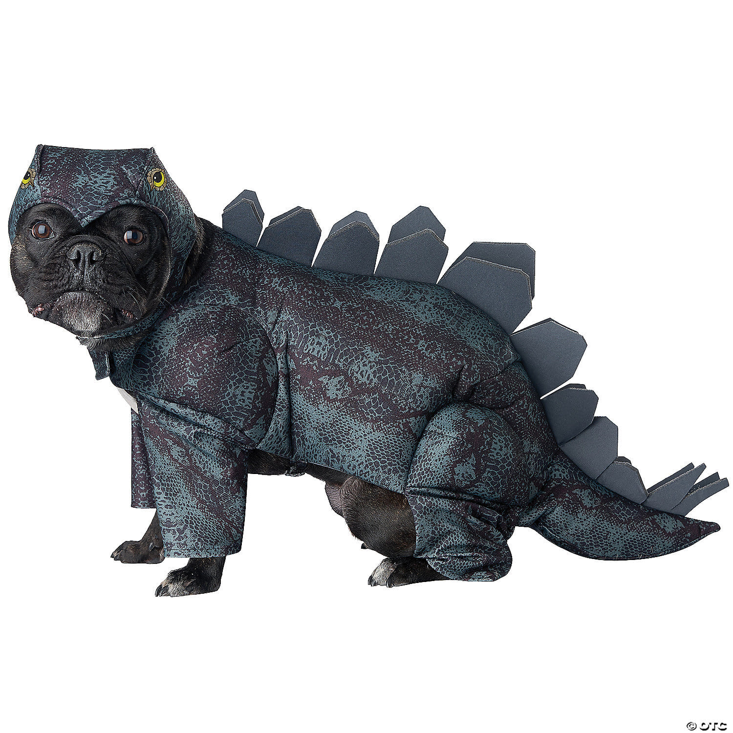 Stegosaurus dog costume