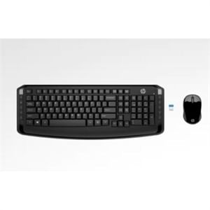 HP WL Keyboard and Mouse 300 e
