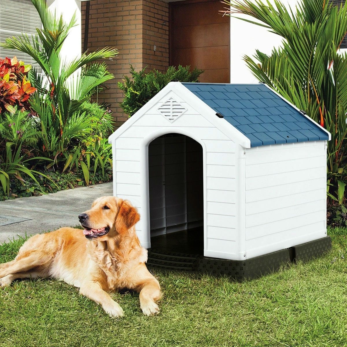 medium plastic dog house