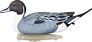 Flambeau Classic Pintail Decoy 6 pk.