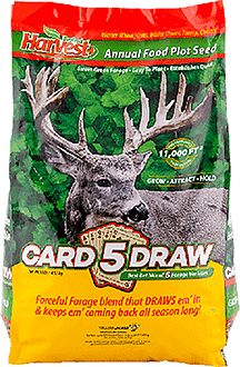 Evolved 5 Card Draw Seed 10 lb.