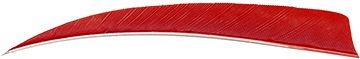 Trueflight Shield Cut Feathers Red 4 in. RW 100 pk.