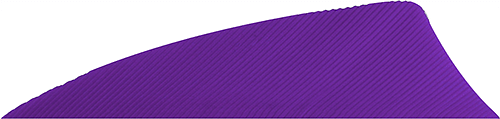 Gateway Rayzr Feathers Purple 2 in. RW 50 pk.