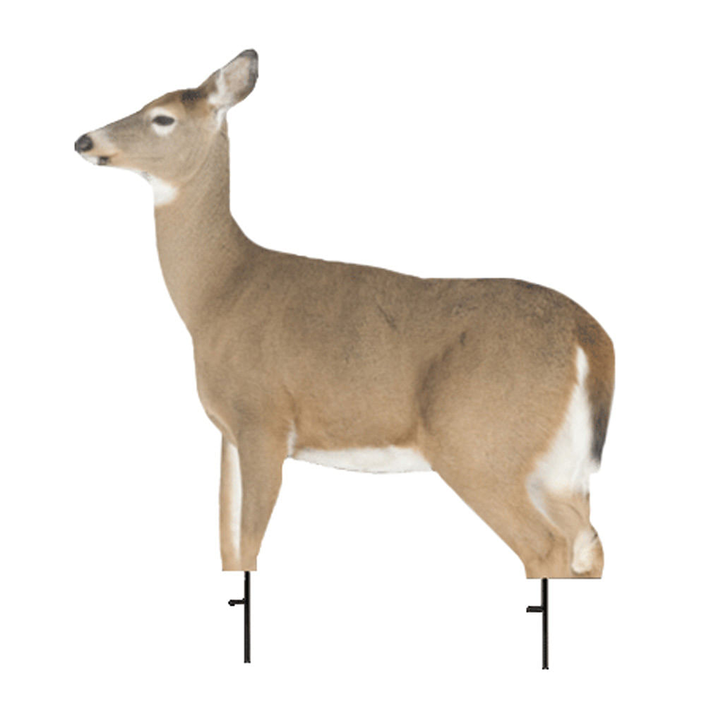 Montana Decoy Whitetail Dreamy Doe Decoy