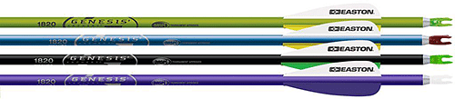 Easton Genesis Arrows Purple/Black/Teal/Green 1820 3 in. Vanes 72 pk.