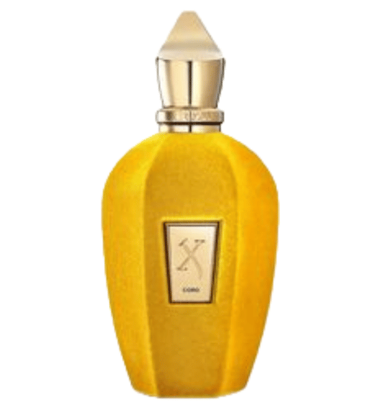Adult: yes - 50ml Elle Anniversary 100ml Xerjoff Renaissance Muse More than Words Perfume Fragrance Eau De Parfum 3.4oz EDP Men Women Cologne Spra