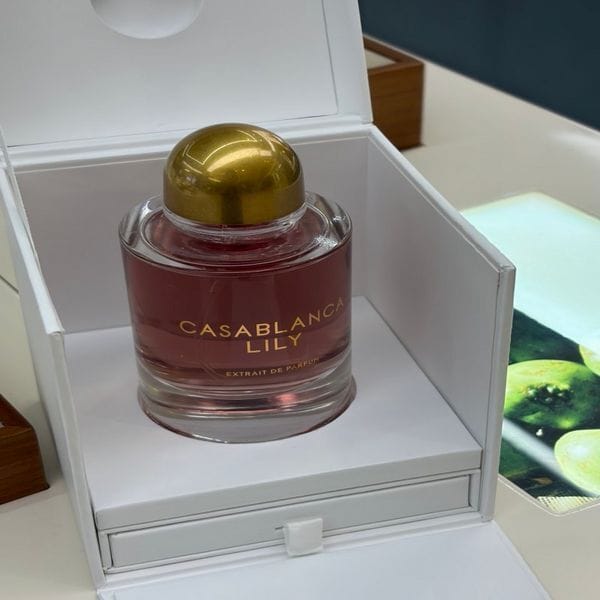 USA 3-6 days delivery Perfume GYPSY WATER 70ML 100ML Parfum Spray Bal d'Afrique Gypsy Water Mojave Ghost Blanche 20 Tynes Perfume Quality High